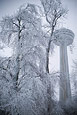 Another Frozen Morning